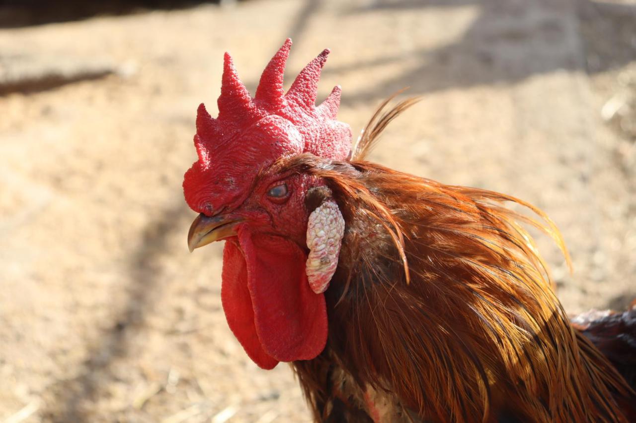 Agro Zula Διαμέρισμα Hrabušice Εξωτερικό φωτογραφία