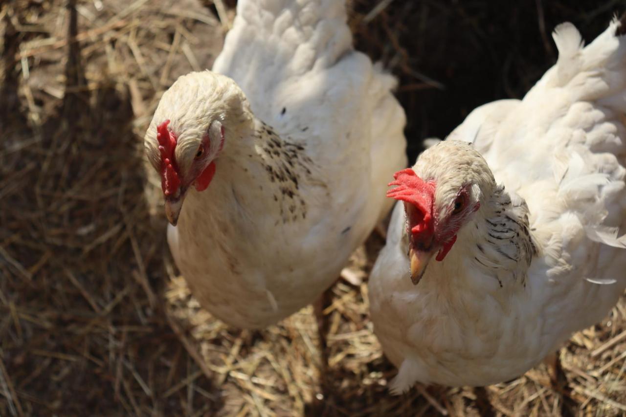 Agro Zula Διαμέρισμα Hrabušice Εξωτερικό φωτογραφία